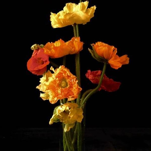 Florale Inspiration von Blumen Flaschka in Augsburg (2)