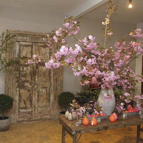 Ladengeschäft von Blumen Flaschka in der Brückenstraße Augsburg (8)